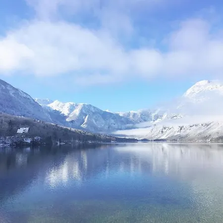 Charming And Cozy Sara Bohinj