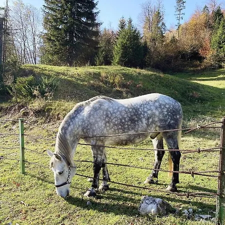 Charming And Cozy Sara