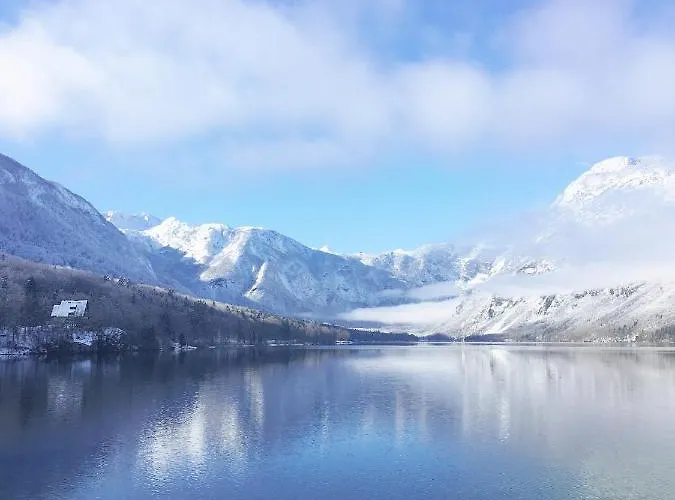 Charming&cozy Sara Bohinj