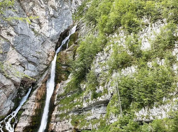 Charming&cozy Sara *